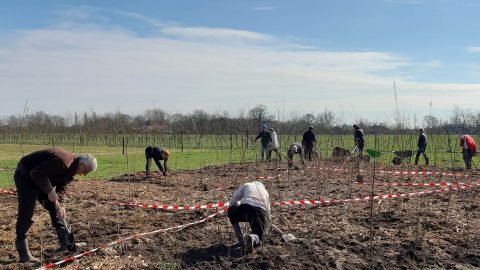 Kees plantte dit weekend een ‘doe het zelf’ Tiny Forest in eigen achtertuin