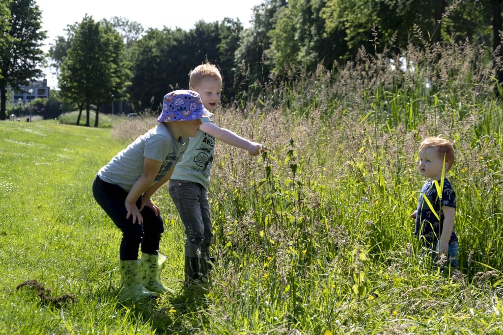 Pak Beweegarmoede Aan Met Groene Buurten Vol Buitenspeelplekken Ivn