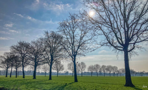 eikenzandweg