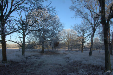 strabechtseheide winter