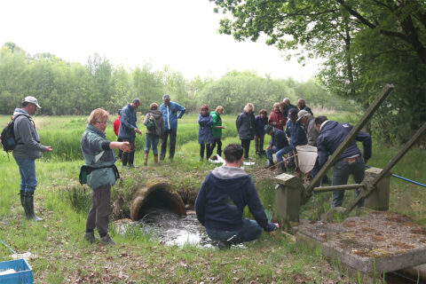 natuurbegeleider