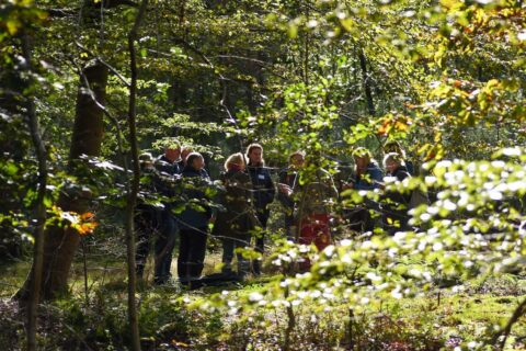 minicursus winterkenmerken bomen en struiken