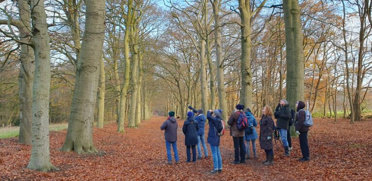 Telescoop en verrekijker mee om vogels in de winter te bekijken