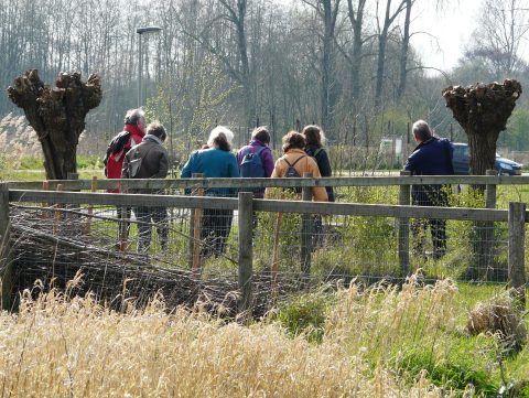 Aangevraagde wandeling/Excursie