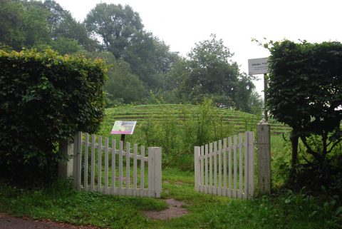 Ommetjes in de Vlindertuin