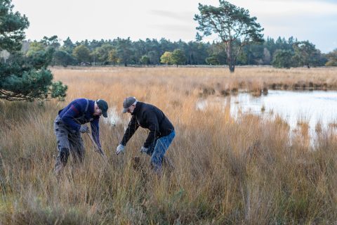 Natuurwerkdag Someren