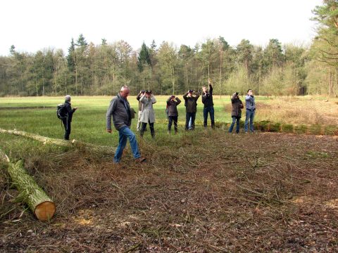 Vogelwerkgroep