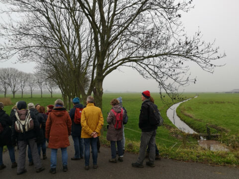 Winterwandelen met IVN - foto: Hans Tuinenburg