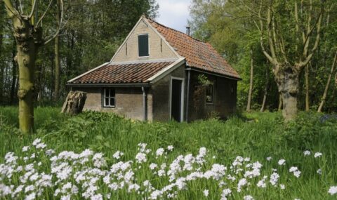 Kooihuisje-Eendenkooi-Het-Aalkeetbuiten