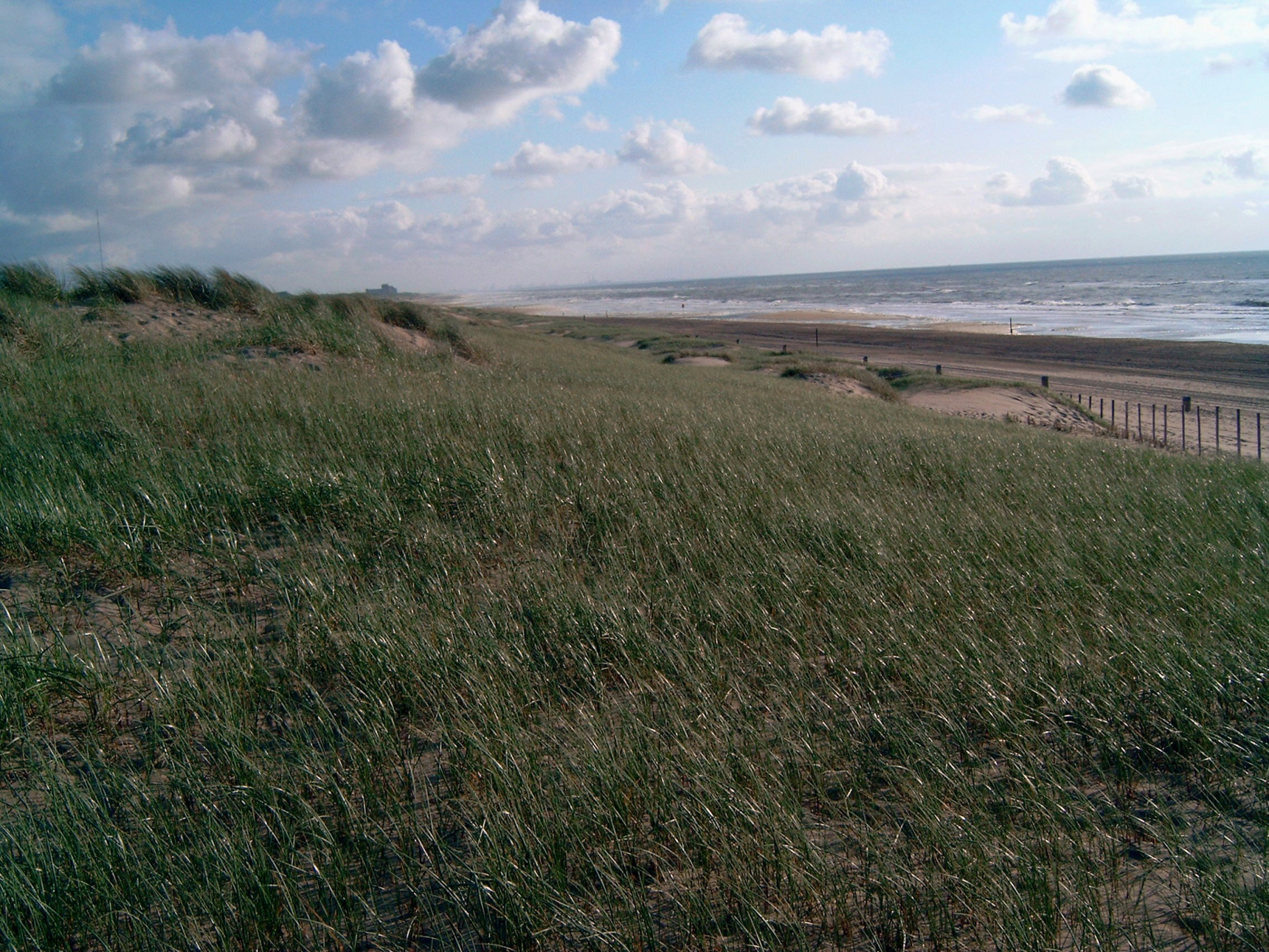 Excursie Scheveningen-haven Getijdengebied - Den Haag En Omstreken