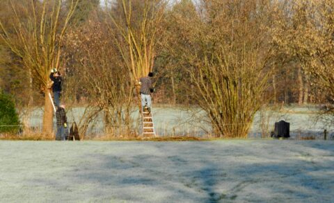 landschapsonderhoud