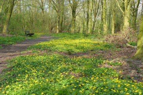 Lentewandelingen voor iedereen