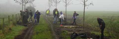 bomen planten lage heide 241113 kop 3op1