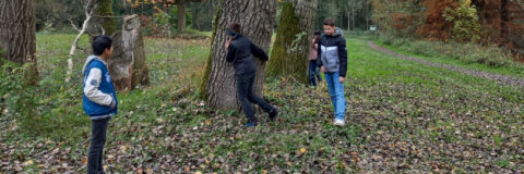 boomfeestdag 241113 lage heide kop 3op1