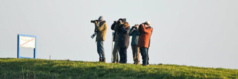 vogelwerkgroep in Zeeland, dec 2024