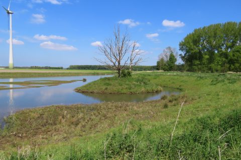 Meerdaagse IVN Trektocht Flevoland