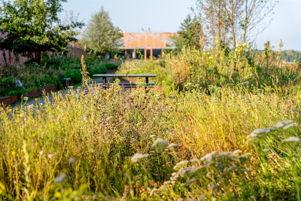 Daktuin als groene baken in de stedelijke omgeving - Werklandschappen ...