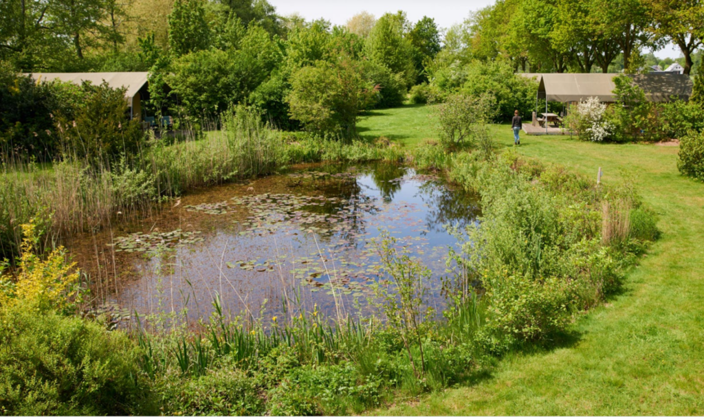 Webinar Recreatieondernemers Bloeiende Natuur Gelderland