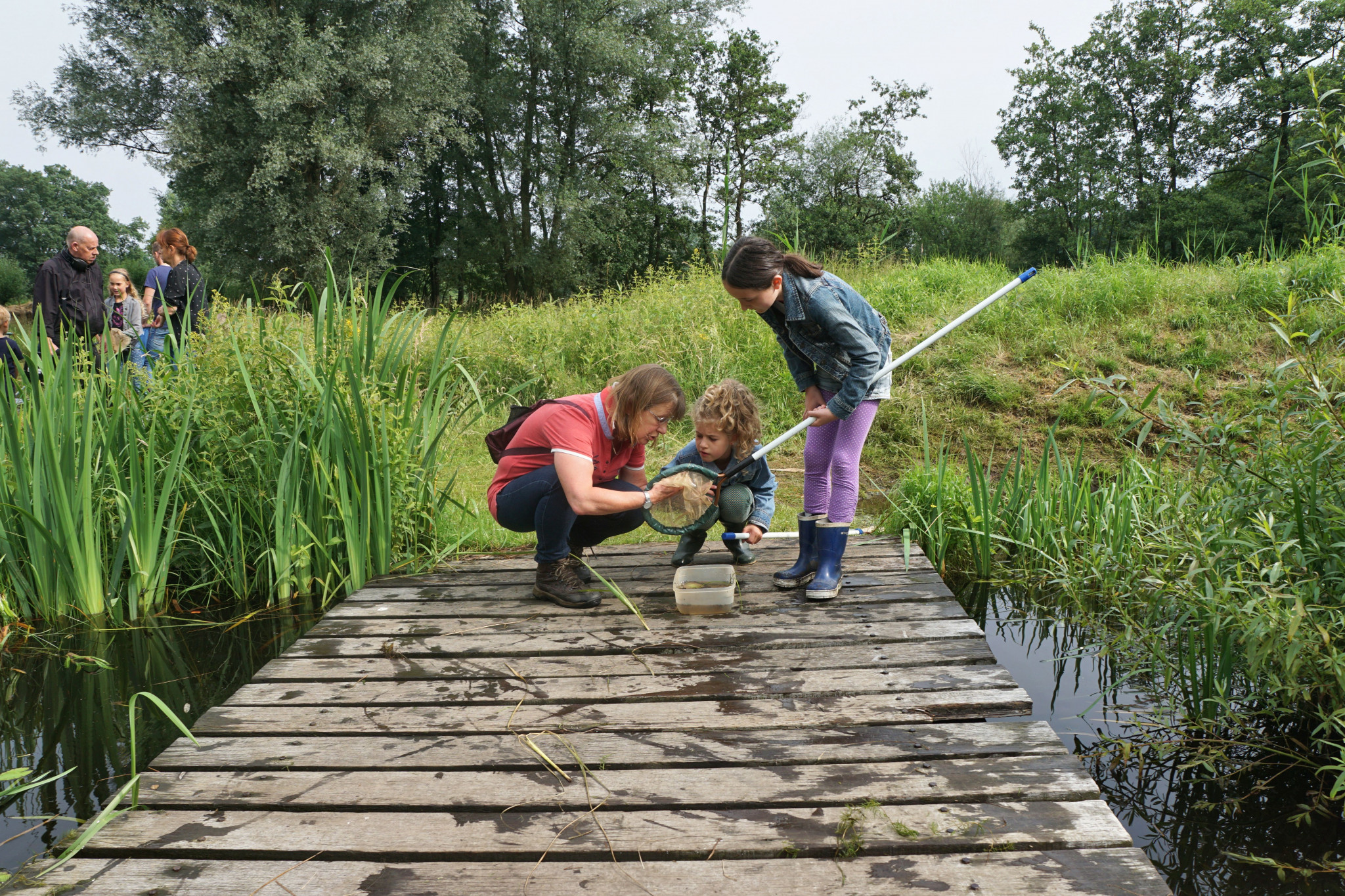 Kinderen onderzoeken waterkwaliteit Utrechtse sloot