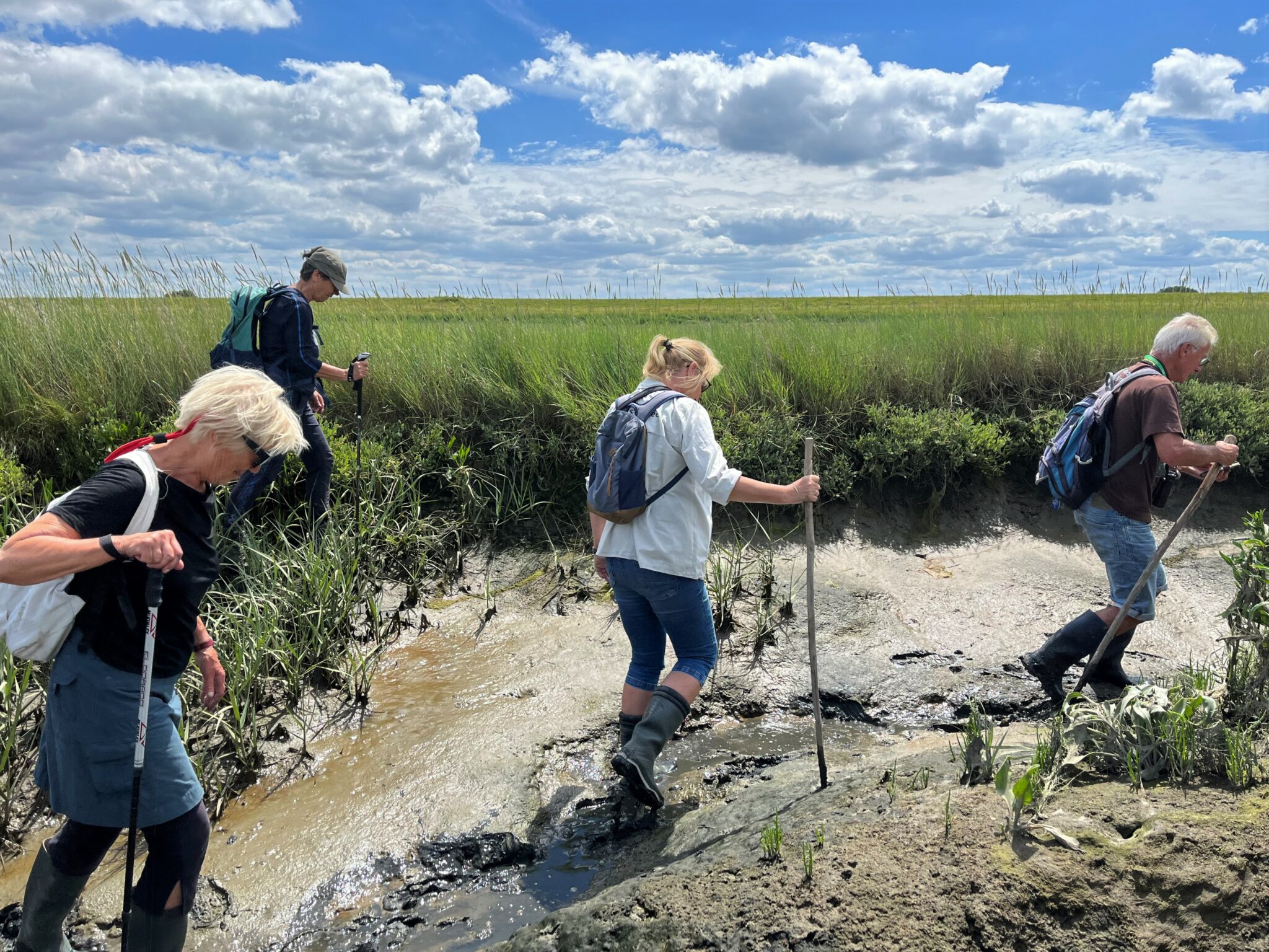 Cursus: Word UNESCO GeoGids In Geopark Schelde Delta – Brabantse Wal ...