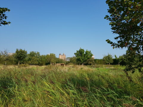 Wandeling Park Assumburg