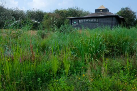 Foto van de heemtuin en gebouw Parnassia