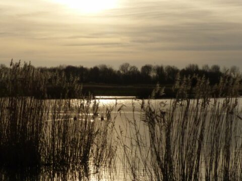 Zakkende zon over water van Geestmerambacht