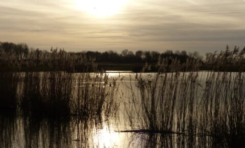 Zakkende zon over water van Geestmerambacht