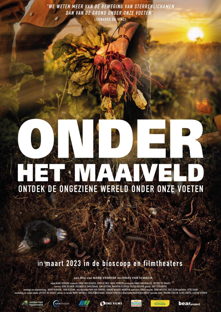 Film Onder Het Maaiveld Oirschot