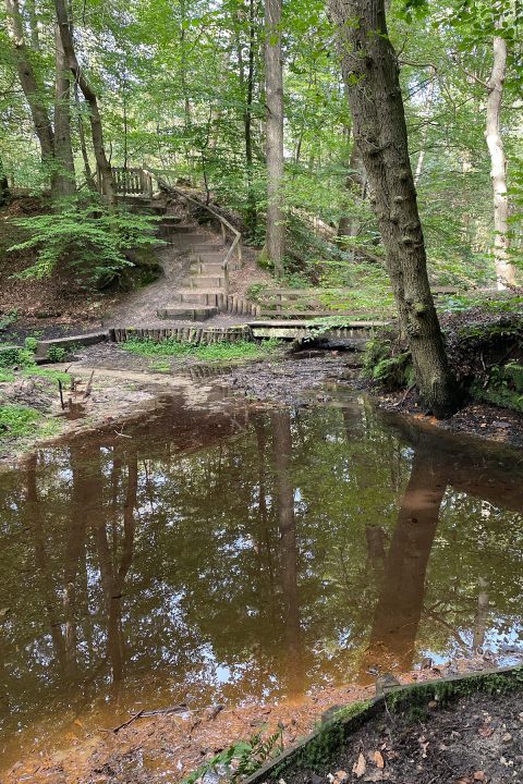 Rood gekleurde ijzerafzetting in en op de bodem van de Soerense beek