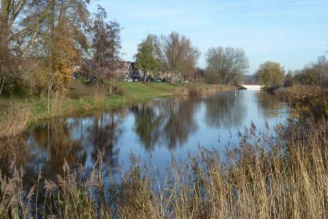 Natuur in de buurt en De Laak