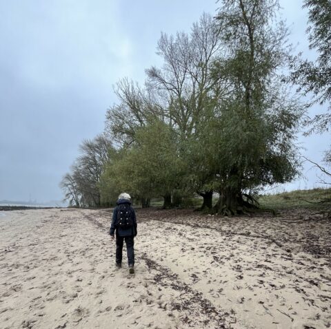 Nijmegen foto van Annette Lukkien Millingerwaard wandelaar winter zand bomen