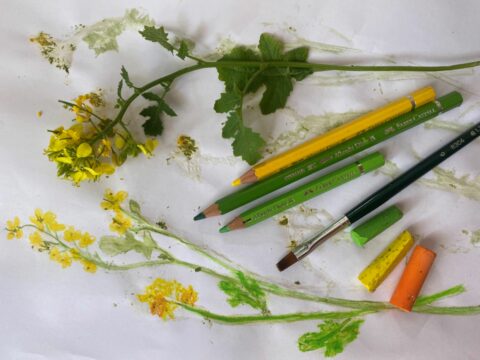 De natuur in huis