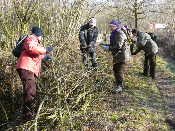 Vrijdagochtendwandelgroep