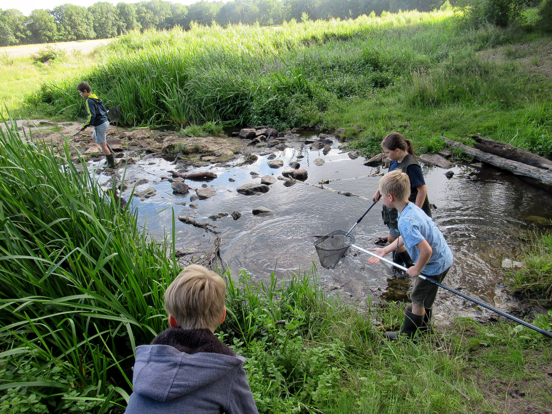 Programma 2021 Vissen & Amfibieënwerkgroep IVN Gemert-Bakel