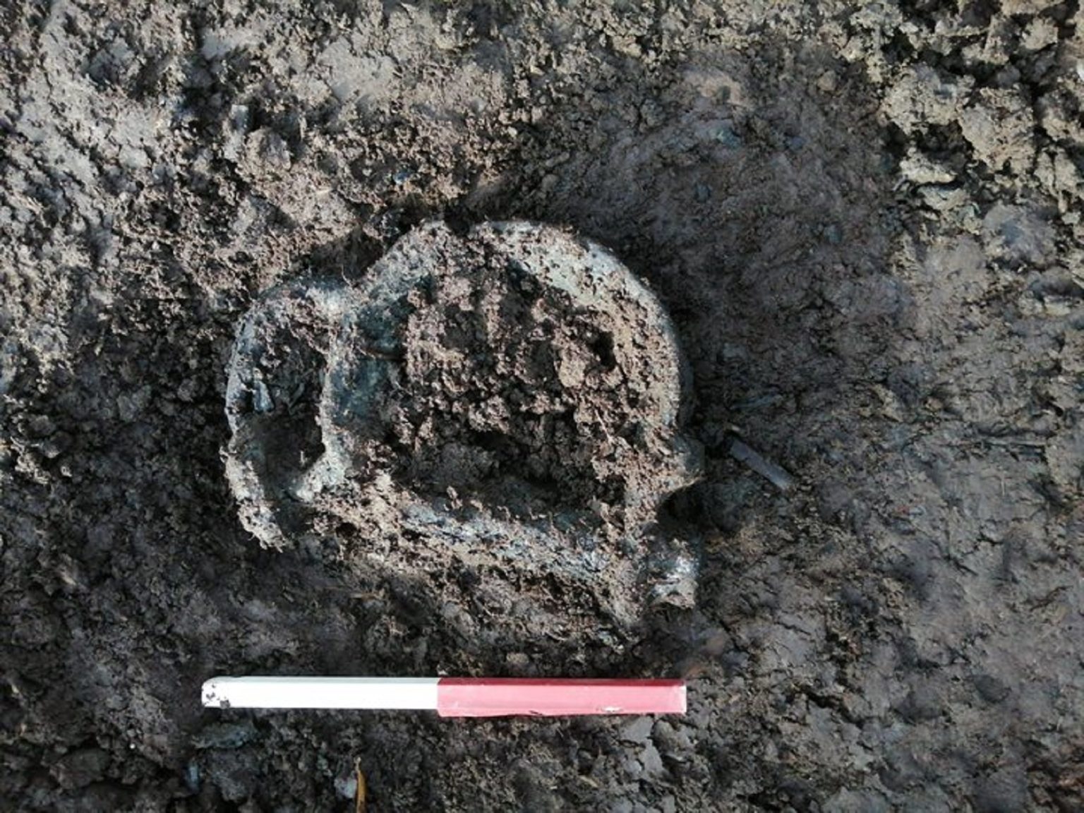 Resultaten Archeologisch Onderzoek Langs Graafsche Raam Grave