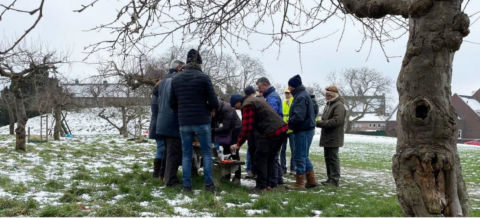 fruitbomen snoeien met historisch groen