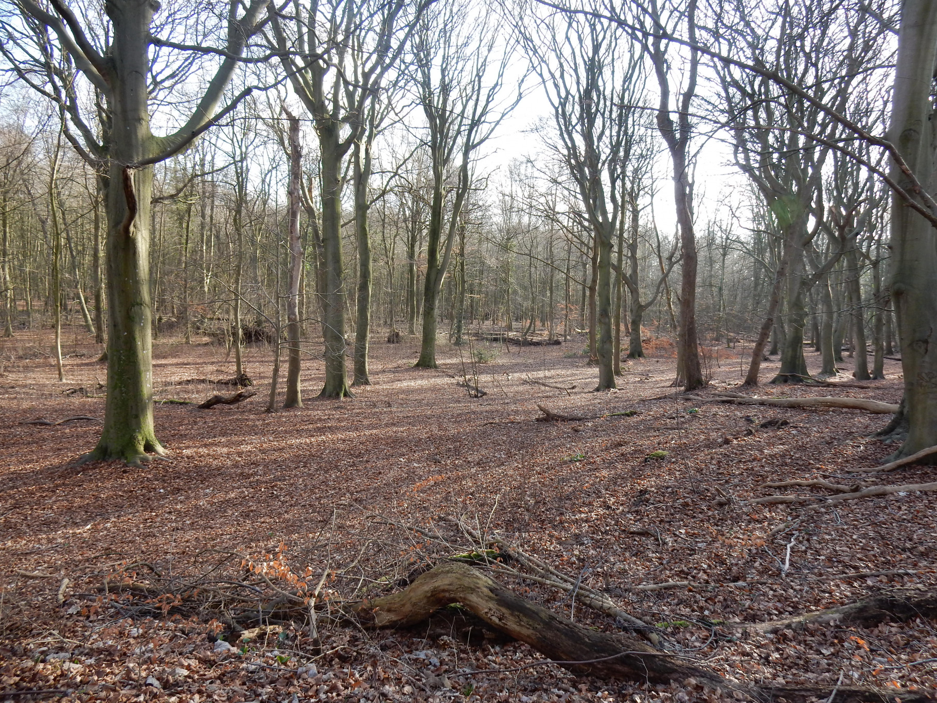 Overzicht Excursies Activiteiten En Cursussen Voorne Putten Rozenburg