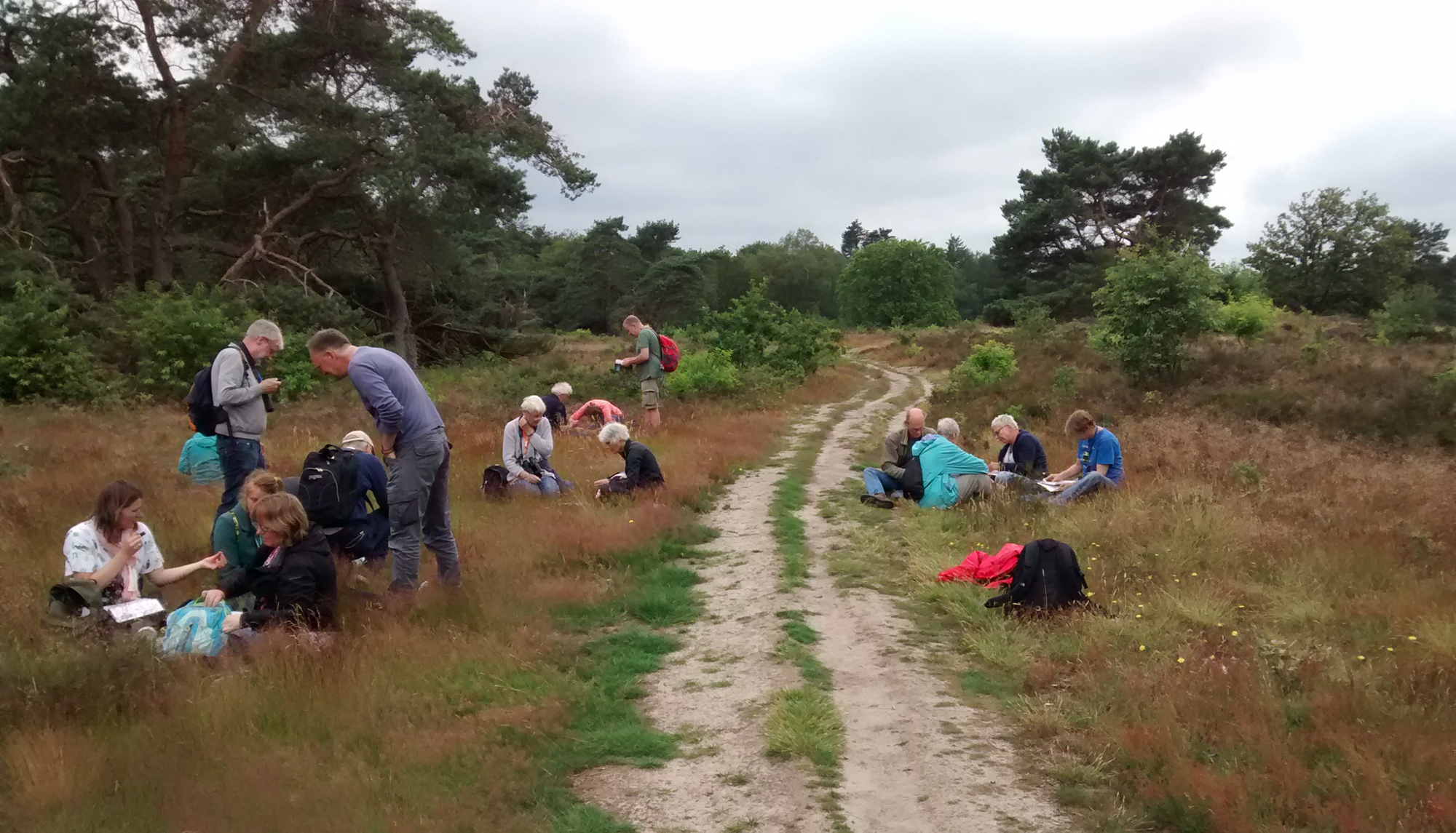 Cursussen Groningen Haren